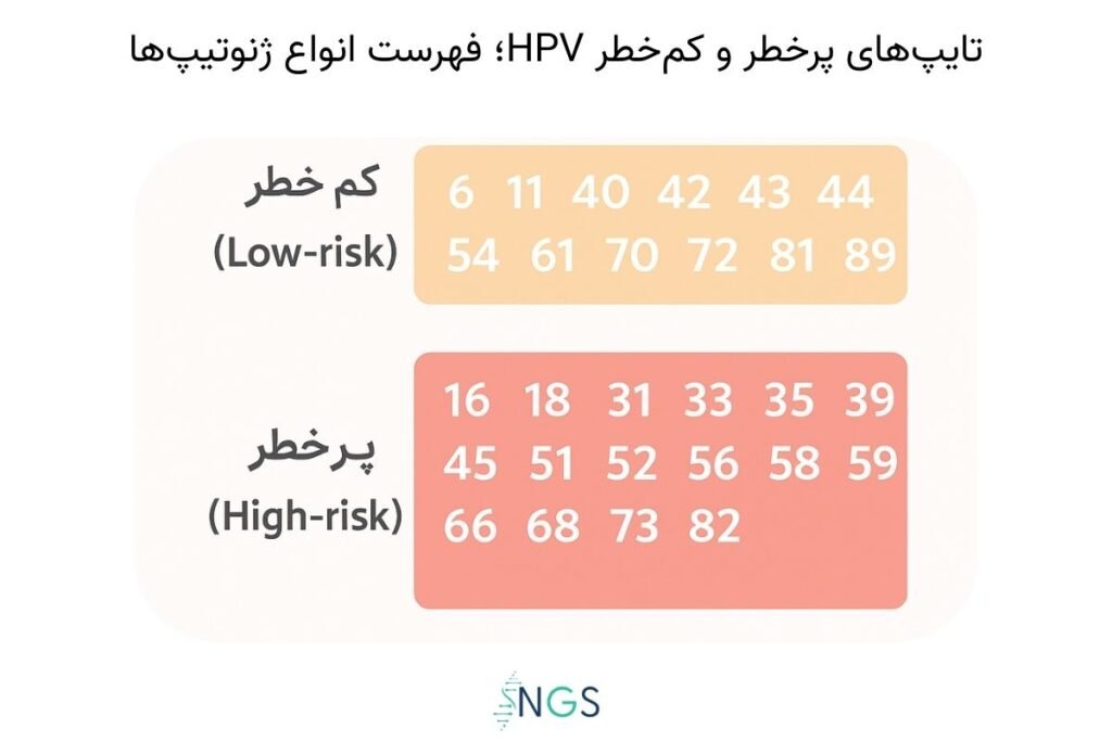 تایپ‌های پرخطر و کم‌خطر HPV؛ فهرست انواع ژنوتیپ‌ها